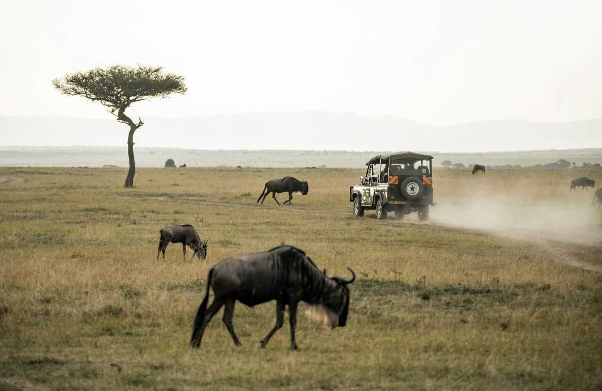 5 Top Destinations to Include in Your Dream African Safari Itinerary